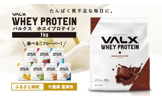 【定期便/毎月/計3回】VALX ホエイプロテイン 1kg【チョコレート風味】