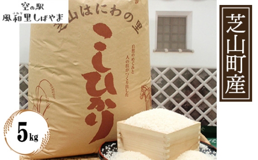 令和7年産　芝山産コシヒカリ5kg（精米） ／ コシヒカリ 玄米 げん米 げんまい 米 こめ コメ お米 こしひかり ご飯 ごはん 弁当 おにぎり 美味しい 評判 自慢の逸品 千葉県 No.070