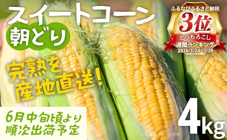 【ふるなびWEEK対象】完熟 スイートコーン 数量限定 とうもろこし 【朝採り】4kg 先行予約 産地直送 