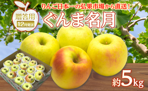 りんご 【 12月発送 】 贈答用 ぐんま名月 約 5kg　リンゴ 林檎 青森りんご 糖度 13度 甘い 酸味 デザート フルーツ 果物 お取り寄せ 産地直送 旬 季節限定 弘果物流 青森県 西目屋村 西目屋村産