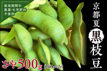 【先行予約／数量限定40】京都夏黒枝豆さや 500g（2026年7月中旬～発送） 枝豆