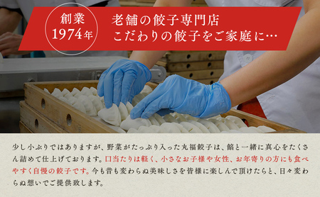 餃子 遠州名物 丸福 タレ付き ぎょうざ 冷凍 静岡 餃子