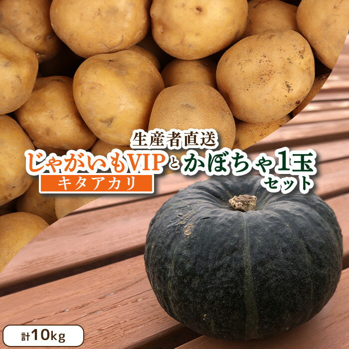 【ふるさと納税】【9月～11月発送予定】じゃがいも VIP キタアカリ かぼちゃ 1玉 セット 計10kg いも 芋 イモ ジャガイモ きたあかり カボチャ 南瓜 オンライン 申請 ふるさと納税 北海道 留寿都 野菜 旬野菜 産地直送 新鮮 詰め合わせ 留寿都村【1200401】