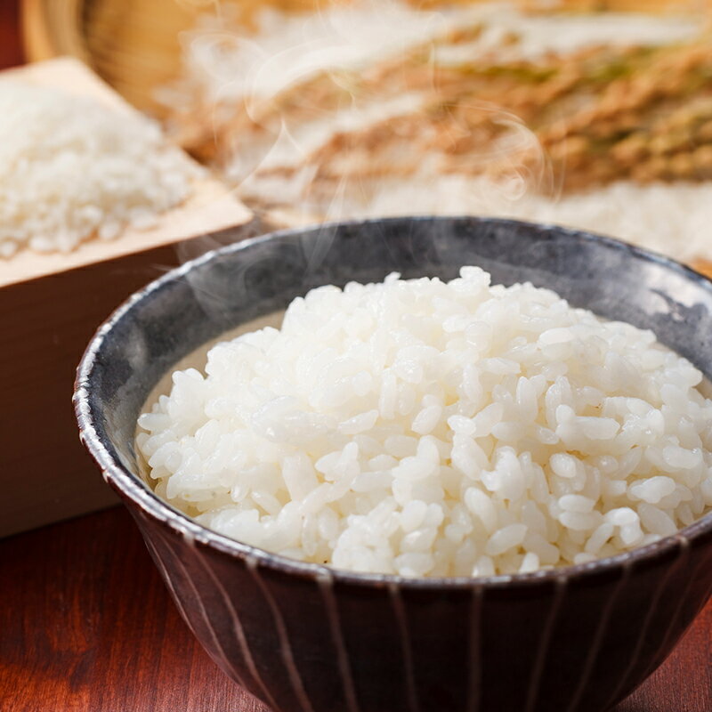【ふるさと納税】令和6年度産 きぬむすめ 精白米 5kg 白米 お米 岡山 米/きぬむすめ