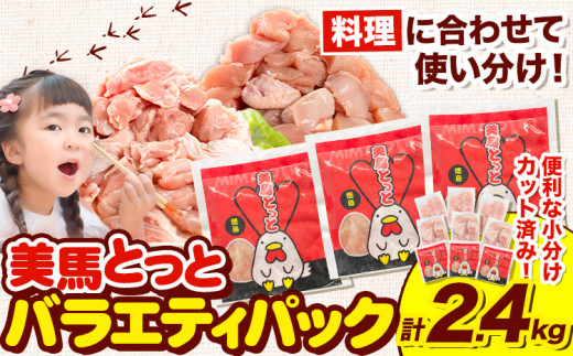 美馬とっと もも肉 むね肉 鶏ハラミ 塩だれ味 セット 計 2.4kg まるほ食品株式会社 《30日以内に出荷予定(土日祝除く)》 鶏肉 味付 とり肉 レトルト 簡単調理 一人暮らし おつまみ 冷凍 夕飯 送料無料 徳島県 美馬市 ファミリーパック 若鶏 からあげ 鶏 st-p