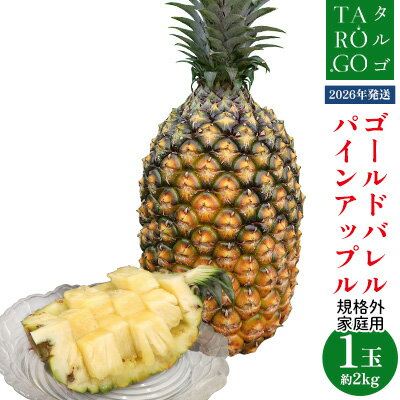 【ふるさと納税】【規格外・家庭用】TARUGO　ゴールドバレルパイン約2kg（1玉）2026年発送 家庭用 パイン パインアップル パイナップル タルゴ タルゴゴールド ゴールドバレル 葉ナシ ご自宅用 訳あり 国産パイン 規格外 生産者応援 農家応援 高級フルーツ 大玉 国産