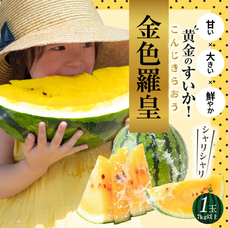 【ふるさと納税】2025年発送 大玉 スイカ 1玉 7kg 以上 金色羅皇 夏 甘い 濃い黄橙色 黄金 極めて強い甘み さっぱりした風味 硬め シャリシャリ みずみずしい 高球形 ジューシー フルーツ 果物 お取り寄せ お取り寄せフルーツ 送料無料