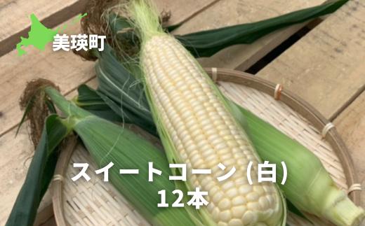 【先行予約】とうもろこし スイートコーン（白）12本 <令和8年産 >サスケの家 [016-95]