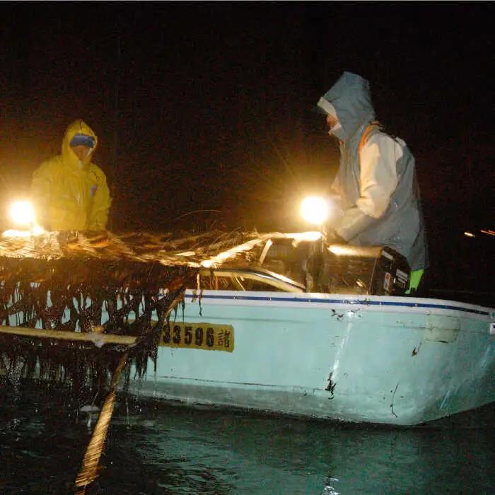 【全3回定期便】上質な高級焼きのり 全形金5帖（全形10枚分×5）焼き海苔 海苔 やきのり [FCO007]