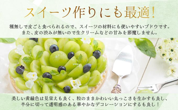 ＜2025年発送分 先行予約＞9月〜10月発送お土産シャインマスカット1kg箱【029-a007】