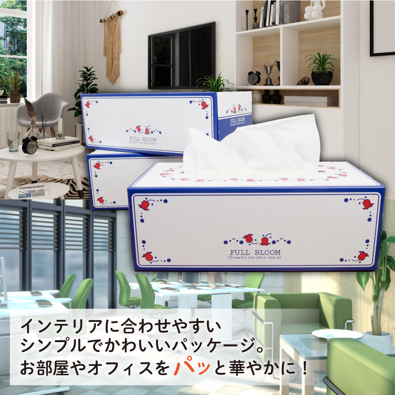 ティッシュ ペーパー ボックス 12箱  柔らかめ  花粉症 日用品 消耗品 防災 備蓄 生活用品  沼津