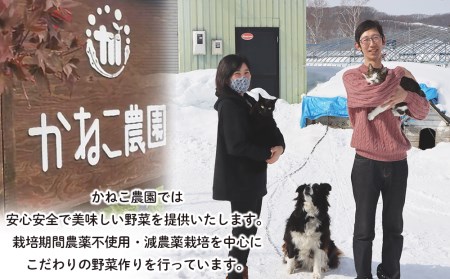 【2025年9月末より発送】有機JAS認証！雪化粧かぼちゃ ４～８玉入り（約10kg）【かねこ農園】