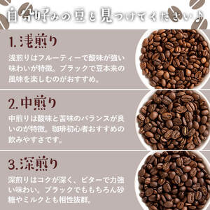 ＼ロースター が セレクト！／珈琲豆 3種 飲み比べ セット＜豆タイプ＞(合計300g・各100g×3種) コーヒー【しんしろ珈琲】A761