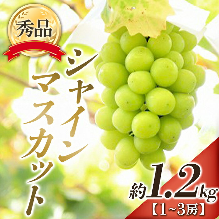 【ふるさと納税】 【令和8年産先行予約】 シャインマスカット 約1.2kg (1～3房 秀) 《令和8年9月下旬～11月中旬発送》 『フードシステムズ』 マスカット 葡萄 ぶどう 果物 フルーツ デザート 山形県 南陽市 [902]