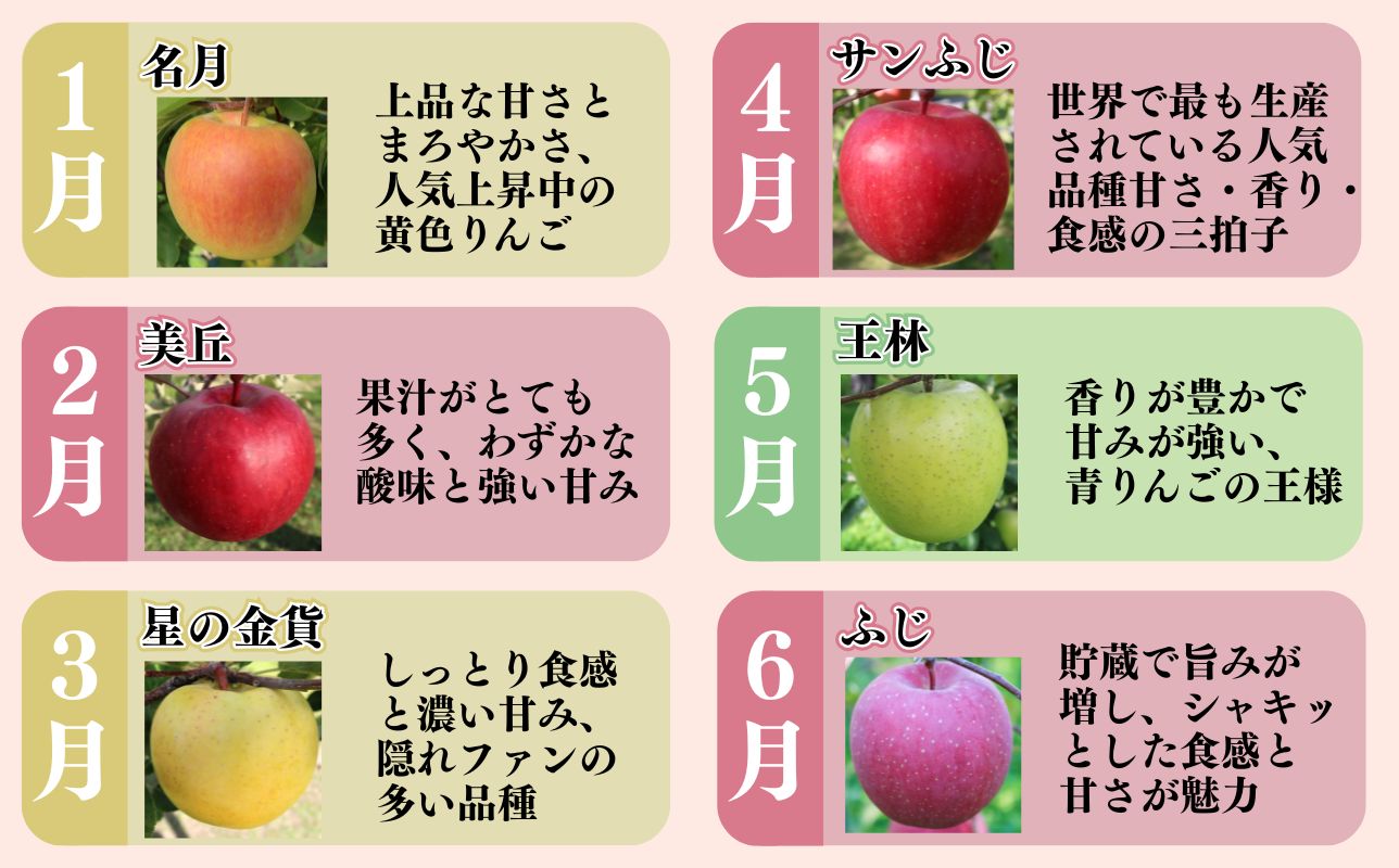 【2027年1月発送開始】青森県産 りんご 12ヶ月定期便 約3kg 特選 1年間品種リレー 食べ比べセット 毎月配送 青森りんご 林檎 フルーツ 平川市