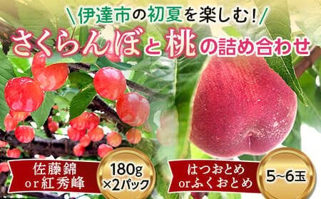 【2026年出荷分先行予約】福島県産 さくらんぼと桃の詰め合わせ さくらんぼ 180g×2パック 桃 5～6玉 セット 菅野農園FruitsProvider 詰合せ 佐藤錦 紅秀峰 伊達の桃 桃 はつおとめ ふくおとめ フルーツ 果物 もも モモ momo F20C-542