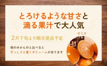 【2月下旬より発送】 せとか 3kg 【1級品】| 柑橘 みかん せとか 果物 愛媛県 松山市 田村農園 【TMN017_x】