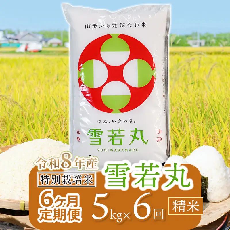 【令和8年産 新米】 特別栽培米雪若丸 精米 5kg (5kg×1袋) ×6ヶ月【定期便】 山形県鶴岡産　鶴岡協同ファーム