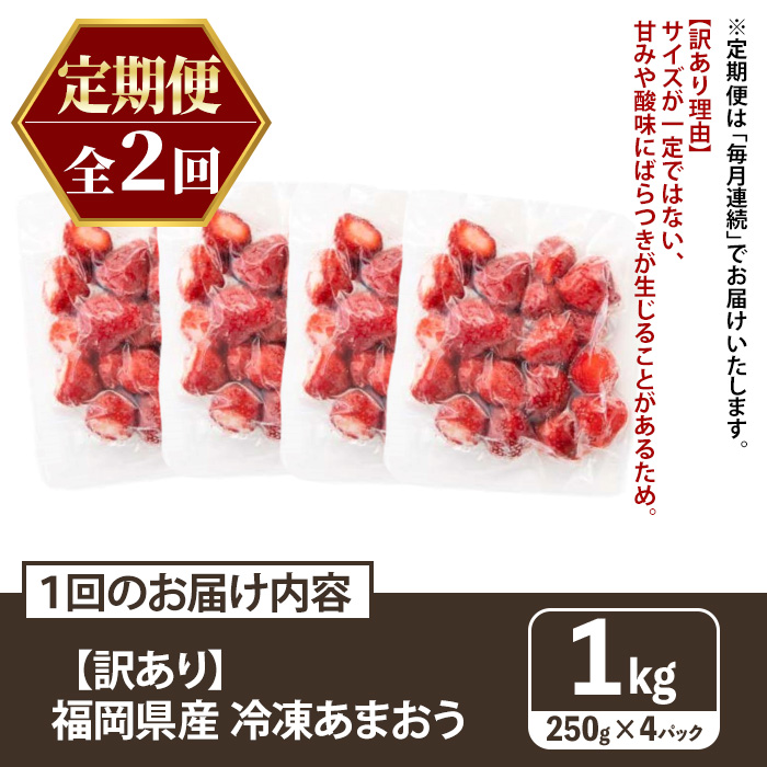 ≪定期便・全2回≫【訳あり】福岡県産 冷凍あまおう(総計2kg・計250g×4袋×毎月連続2回) いちご イチゴ 苺 ストロベリー 果物 フルーツ おやつ デザート 訳アリ わけあり サイズ不揃い 規格外 冷凍 定期便 頒布会 【木村食品】as46-059