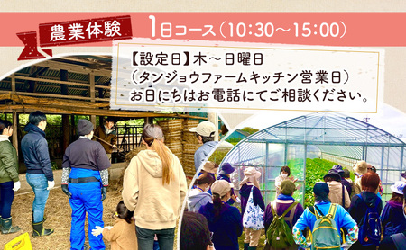 タンジョウ農場 農場体験 家族4名様分 体験 農業体験 チケット ランチ スイーツ 野菜のおみやげ付 千葉市 千葉県
