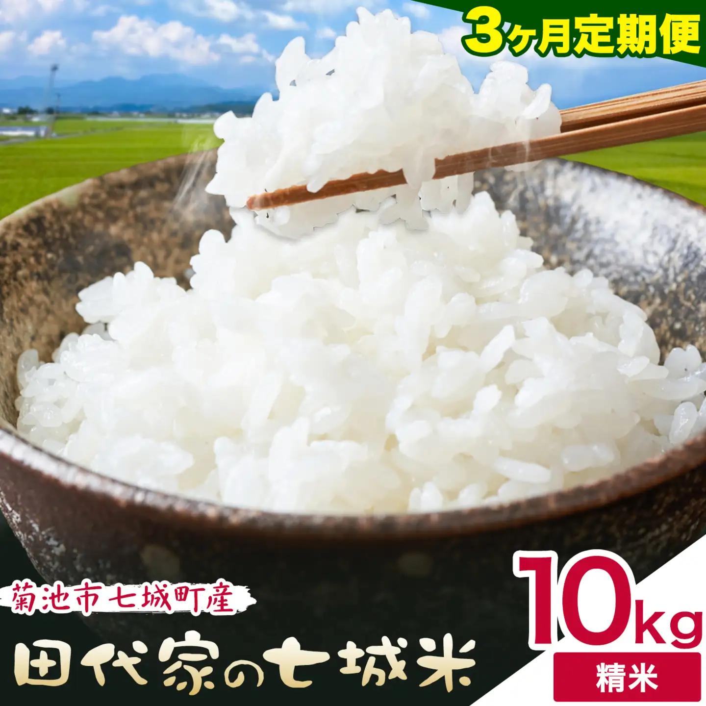【3ヶ月定期便】令和7年産 菊池市七城町産 田代家の七城米 七城ヒノヒカリ 白米 10kg 田代こめや《お申し込み月の翌月から出荷開始》熊本県 菊池市 米 お米 精米 ひのひかり 菊池市産 熊本県産 九州産 送料無料