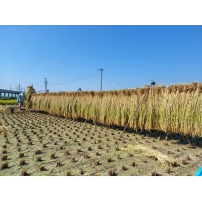 ふるさと納税 長野市 コシヒカリ　精米　5kg |  | 02