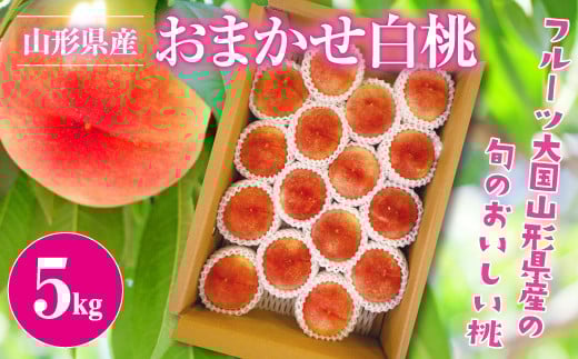 
            FYN9-381 《2025年先行予約》ご家庭用 山形県産 品種 おまかせ 白桃 5kg 2025年8月上旬から順次発送 夏果実 果実 果物 くだもの フルーツ 桃 もも ピーチ 家庭用 自宅用 訳あり 農業者 農家 支援品 産地直送 山形県 西川町 月山
          