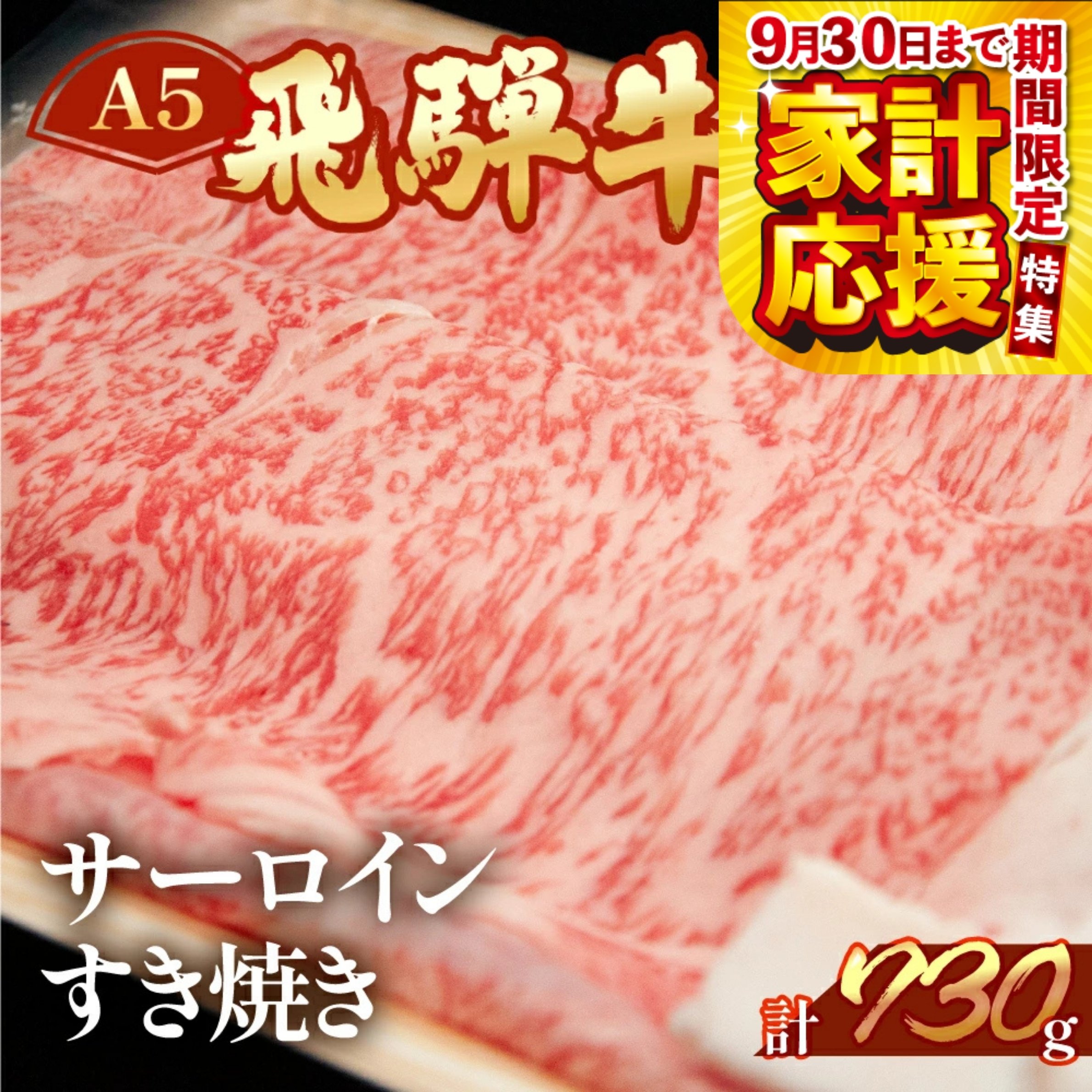 【ふるさと納税】期間限定 【家計応援】A5 飛騨牛 サーロイン すき焼き 730g 霜降り 【冷凍】　冷凍配送 下呂温泉 おすすめ 牛肉 肉 和牛 赤身 人気 ブランド牛 肉ギフト 国産 贈答品 すき焼き用 すきやき ギフト 和牛 50000円　5万円 岐阜県 下呂市