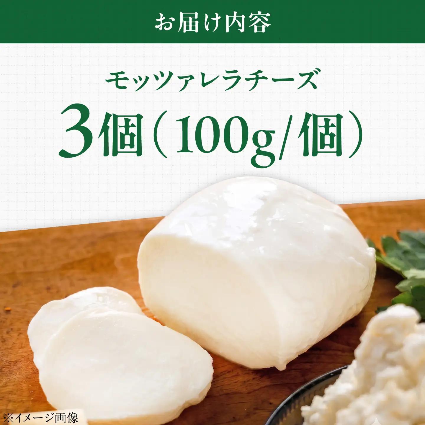 山地放牧酪農ミルクのモッツァレラチーズ 3個セット BKAH007 チーズ