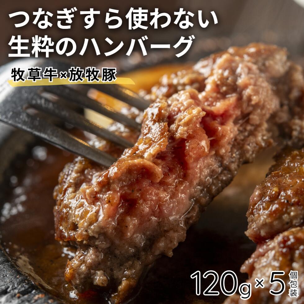 【ふるさと納税】【牧草牛×放牧豚】ハンバーグ 5個 《厚真町》【GOODGOOD株式会社】 ハンバーグ 牛肉 豚肉 小分け 冷凍配送 北海道[AXBP006]