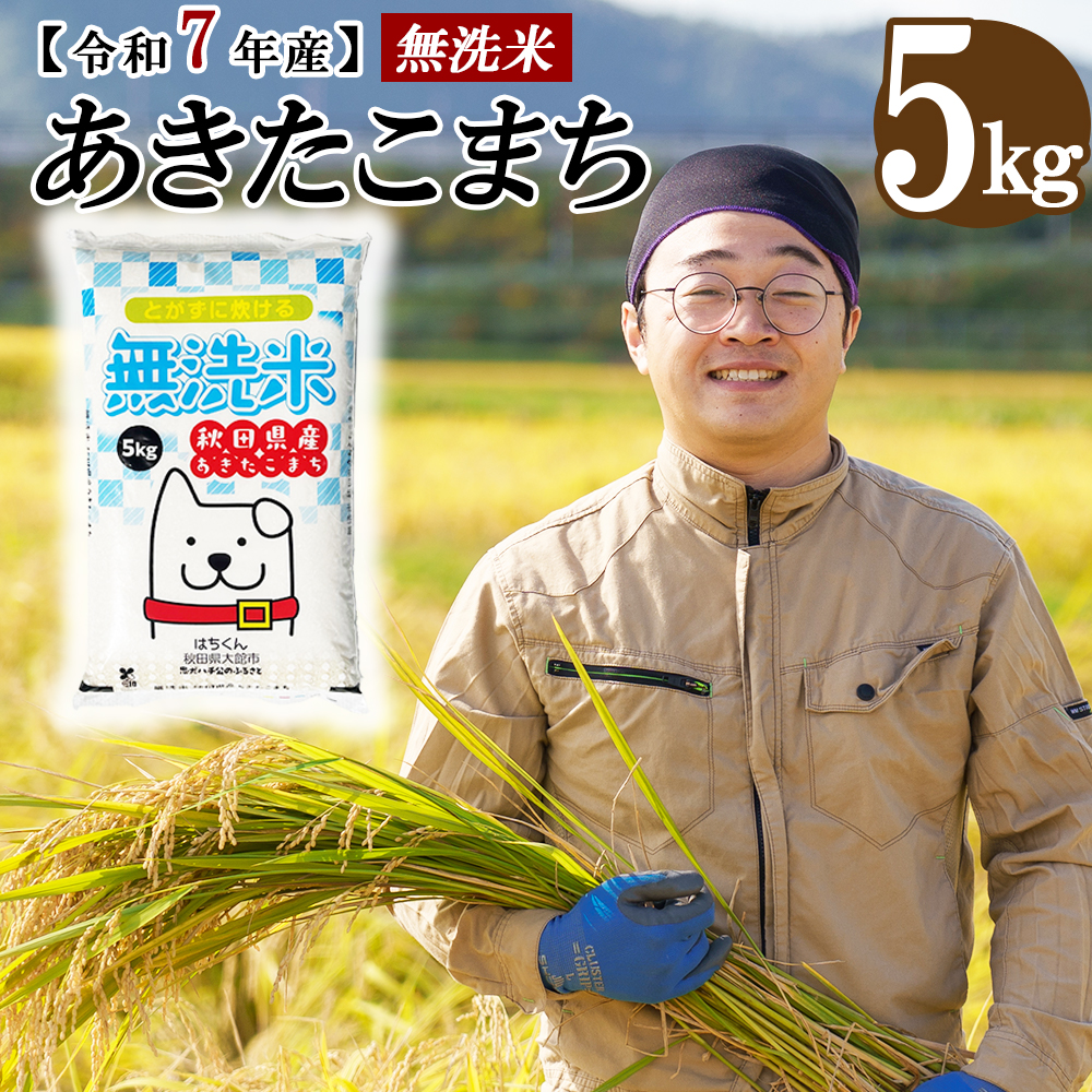 【令和7年産先行受付】秋田県産「あきたこまち（無洗米）」 5kg（5kg×1袋） 75P9203