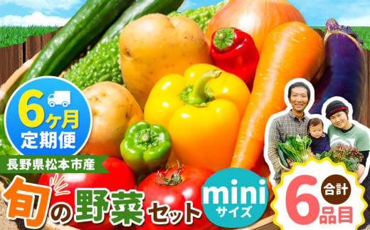 【定期便6回】子育て農家の野菜セット（miniサイズ）農薬・化学肥料不使用 | 定期便 野菜 やさい 無農薬 長野県 松本市 信州産 ふるさと納税