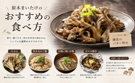 しんごう原木まいたけ　１kg