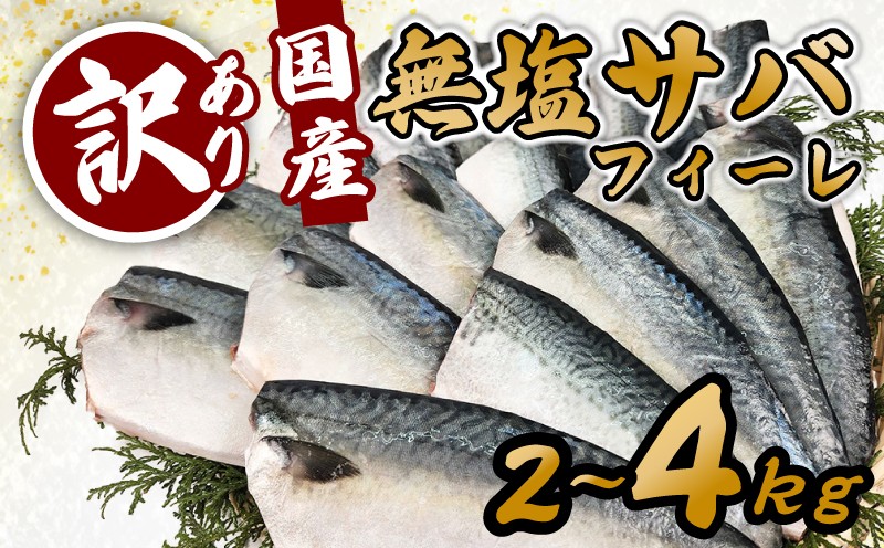 
                  ＜訳あり＞ 国産 無塩さばフィレ 2~4kg 冷凍 国産さば 切身 フィレ わけあり 不揃い サバフィレ 無塩サバ サバ 魚 鯖 バラ凍結 海鮮 魚 青魚 さば 鯖フィレ さばフィレ サバフィーレ 無塩鯖 saba 国産 切り身 焼き魚 焼魚 三重県 南伊勢町 ふるさと納税 送料無料 伊勢 志摩
                