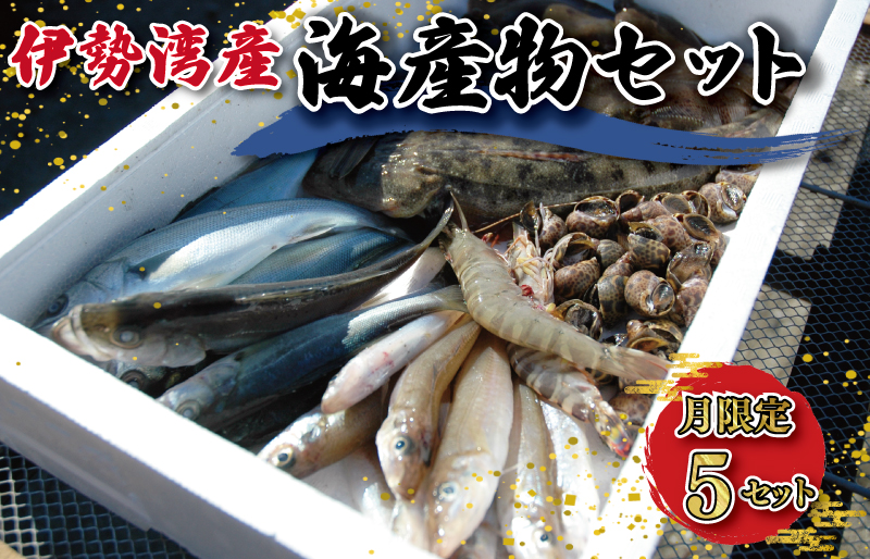 伊勢湾産 海産物セット 魚 貝 干物 海藻 新鮮 詰め合わせ セット 海鮮 海産 直送 海 漁師 おまかせ 旬 季節 お楽しみ E0170