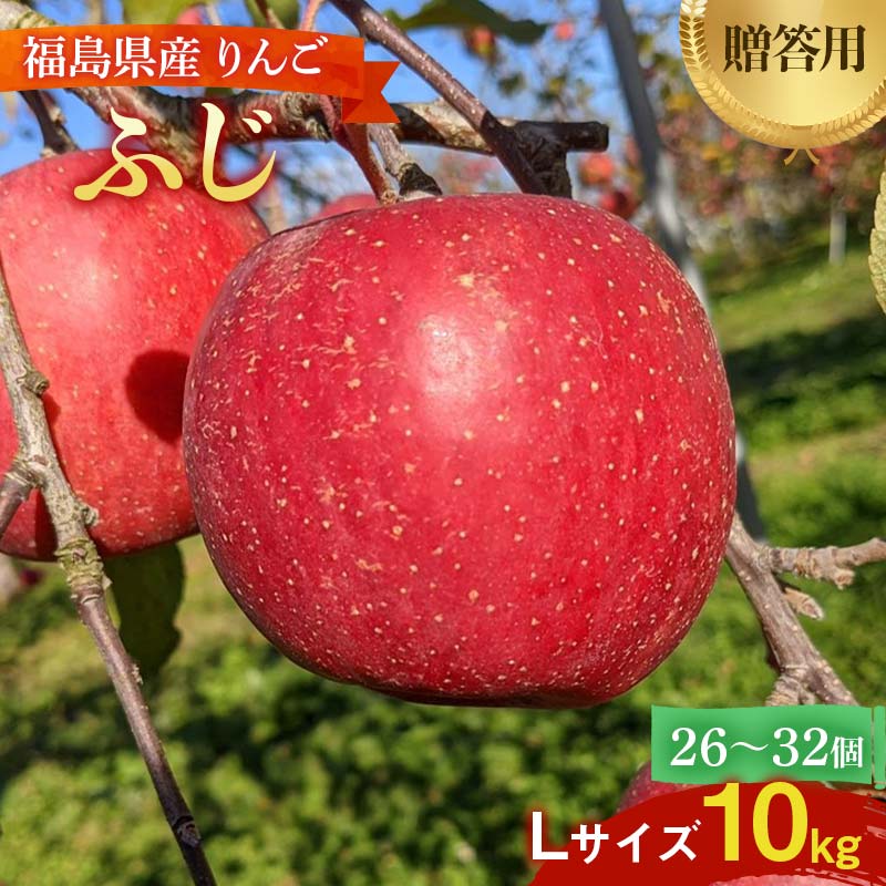 【ふるさと納税】＜佐藤幸男農園＞りんご 10kg ふじ Lサイズ 26〜32玉 F7X-0222