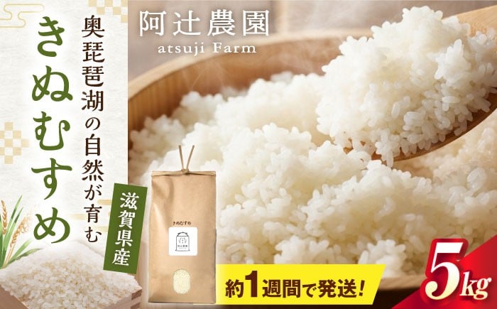 
            【スピード発送】【令和7年産】米 白米 きぬむすめ5kg 滋賀県長浜市/阿辻農園 [AQAW015] 米 お米 ご飯 ごはん ゴハン 近江米 滋賀県産 長浜市産 こめ 白米 精米 お米  食品 ふるさと納税 国産 炊きたて 米ギフト ブランド米  食卓 美味しい 節約 人気 きぬむすめ キヌムスメ 5キロ 5キロ ご飯のお供 お弁当 おにぎり おこめ 炊き込みごはん【スピード発送】
          