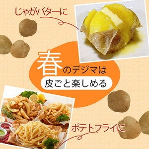 《先行予約》 じゃがいも 秀品 春デジマ じゃがいも 安田町 大野台地 5㎏ YK-0010