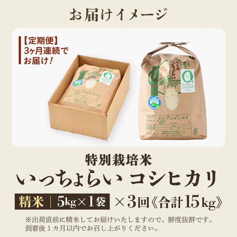 【先行予約】【令和8年産・新米】【一等米】《定期便3回》特別栽培米 いっちょらい 精米 5kg × 3回（計15kg）／ 福井県産 ブランド米 コシヒカリ ご飯 白米 新鮮 大賞 受賞 ※2026年1