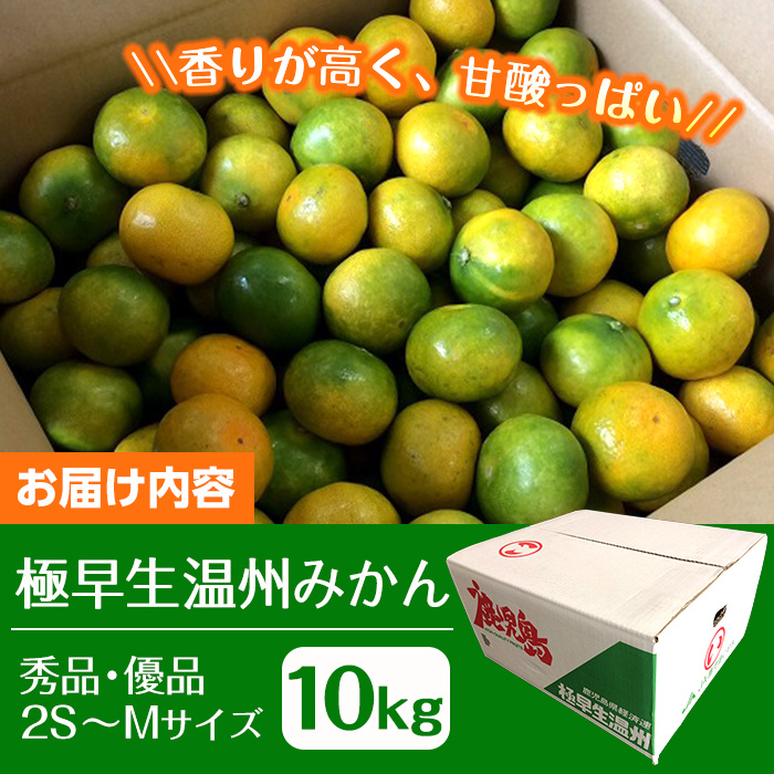 i093 ＜先行予約受付中！2026年9月以降順次発送予定＞ 鹿児島県産！ 極早生温州みかん(10kg) 温州みかん みかん 10kg 柑橘 種果物 くだもの フルーツ オレンジ 旬 国産 【JA鹿児