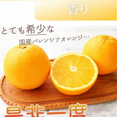 G7079_希少な国産バレンシアオレンジ 5kg 秀品_イメージ2