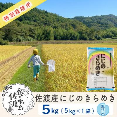 ふるさと納税 佐渡市 【毎月定期便】佐渡島産にじのきらめき 無洗米5Kg 特別栽培米 農家直送　全9回