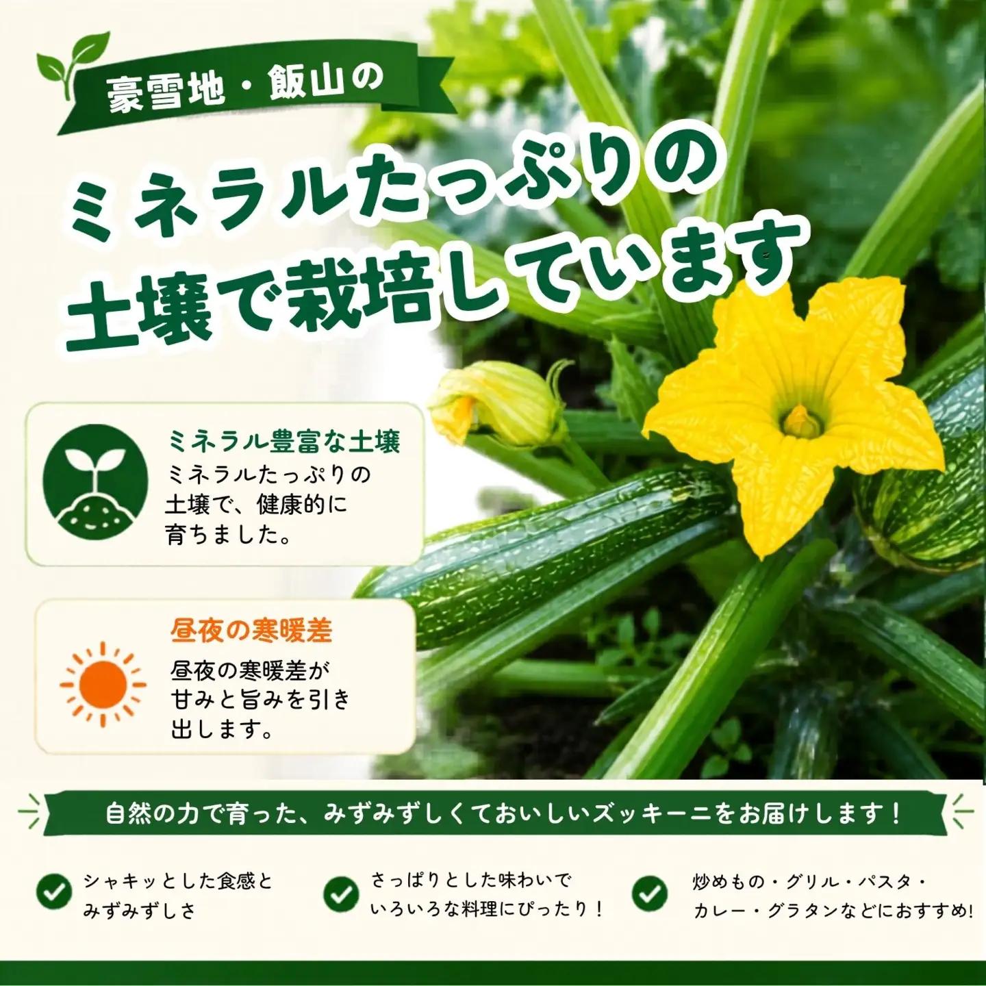 朝採り!! ズッキーニ 岸田農園 ズッキーニ
