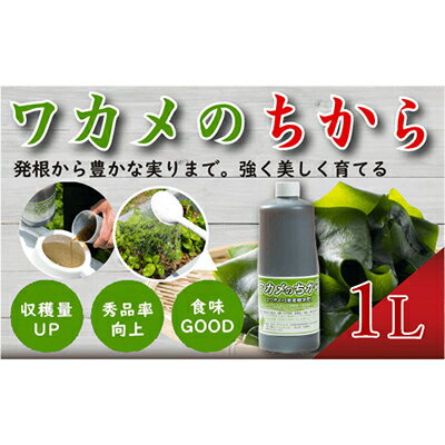 【ふるさと納税】ワカメのちから　1Lボトル【1566448】