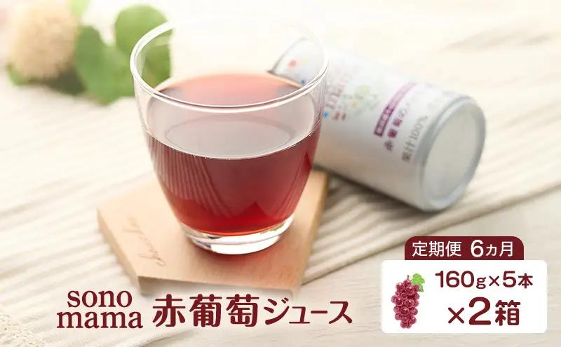 ぶどうジュースsonomama赤葡萄飲料ぶどうジュース【160g×5本×2箱】【定期便6ヵ月】