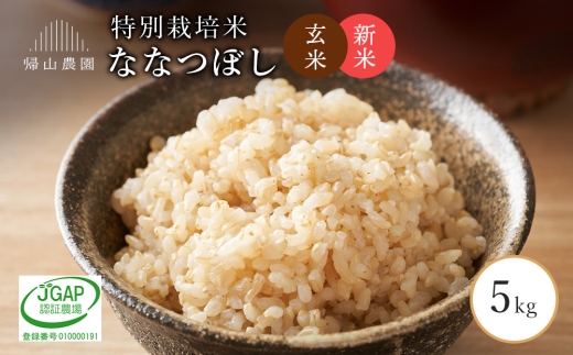 【新米予約】玄米ななつぼし5ｋｇ　箱入《帰山農園》