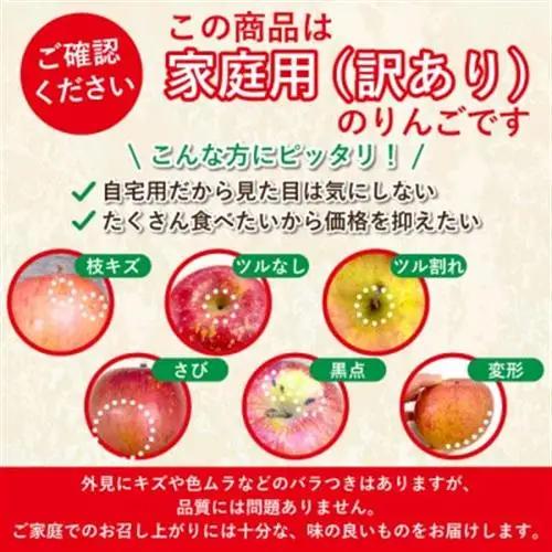【先行受付】青森県産りんご 平均糖度13度以上! 有袋ふじ 約10kg 訳あり クール便【配送不可地域：離島・沖縄県】【1707178】