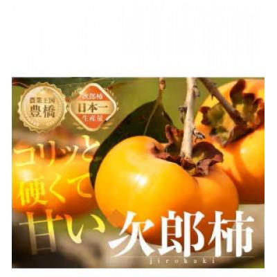 ふるさと納税 豊橋市 豊橋石巻産次郎柿(ご自宅用不揃い)2kg(8〜12玉)
