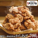 【ふるさと納税】秘伝の熟成醤油からあげ 700g【元祖からあげ家いのいち】| 唐揚げ から揚げ 鶏のから揚げ 鶏 鶏肉 ジューシー 醤油 冷凍 冷凍唐揚げ