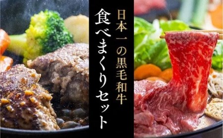 豊後牛ハンバーグ＆大分県産黒毛和牛すきやき肉(500g)セット|和牛